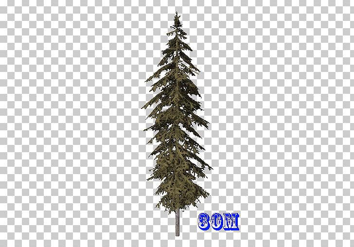 Spruce Christmas Ornament Fir Christmas Tree Pine PNG, Clipart, 44 Favorite Place, Christmas, Christmas Decoration, Christmas Ornament, Christmas Tree Free PNG Download