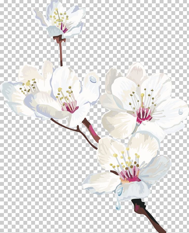 Cape Jasmine White Flower PNG, Clipart, Branch, Cherry Blossom, Creative Work, Flower, Flower Arranging Free PNG Download