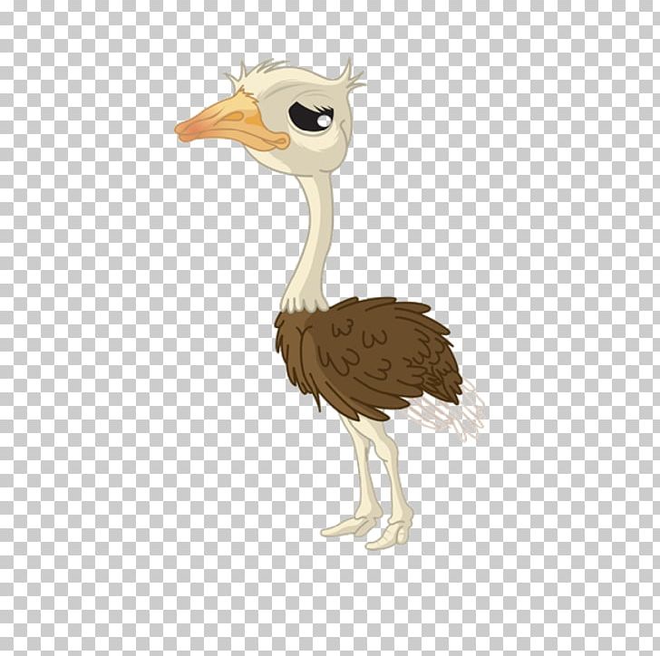 Common Ostrich Cartoon Drawing PNG, Clipart, Animals, Animation, Balloon  Cartoon, Bird, Boy Cartoon Free PNG Download