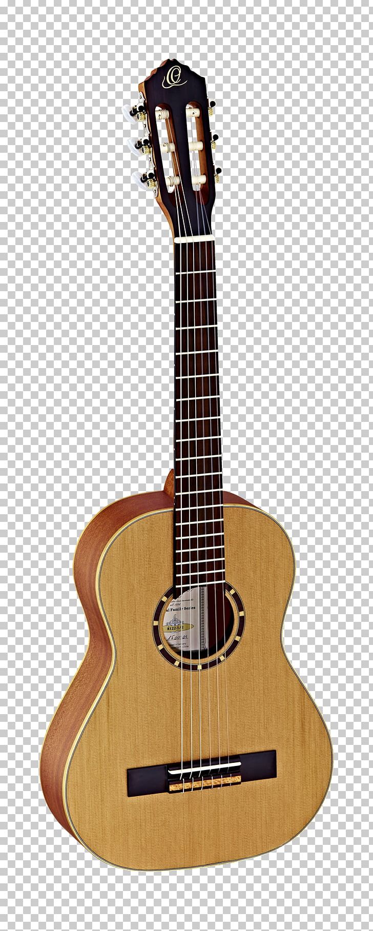 Classical Guitar Gig Bag Musical Instruments Acoustic Guitar PNG, Clipart, Acoustic Electric Guitar, Acoustic Guitar, Amancio Ortega, Bridge, Classical Guitar Free PNG Download