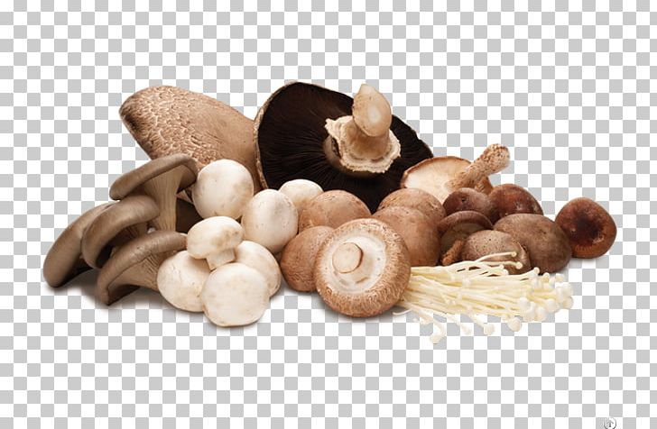 Common Mushroom Edible Mushroom Hen-of-the-wood Shiitake PNG, Clipart, Agaricus, Candy Cap, Common Mushroom, Cream Of Mushroom Soup, Dry Free PNG Download