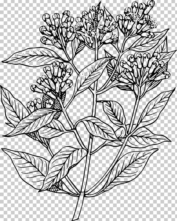 Drawing Apple Mint Herb PNG, Clipart, Apple Mint, Black And White, Branch, Cloves, Computer Icons Free PNG Download