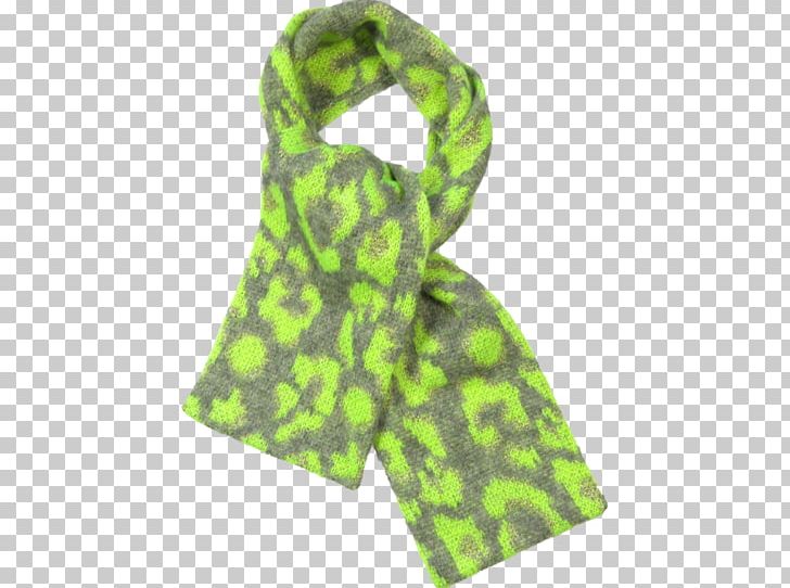 Green Scarf PNG, Clipart, Green, Others, Scarf, Stole Free PNG Download