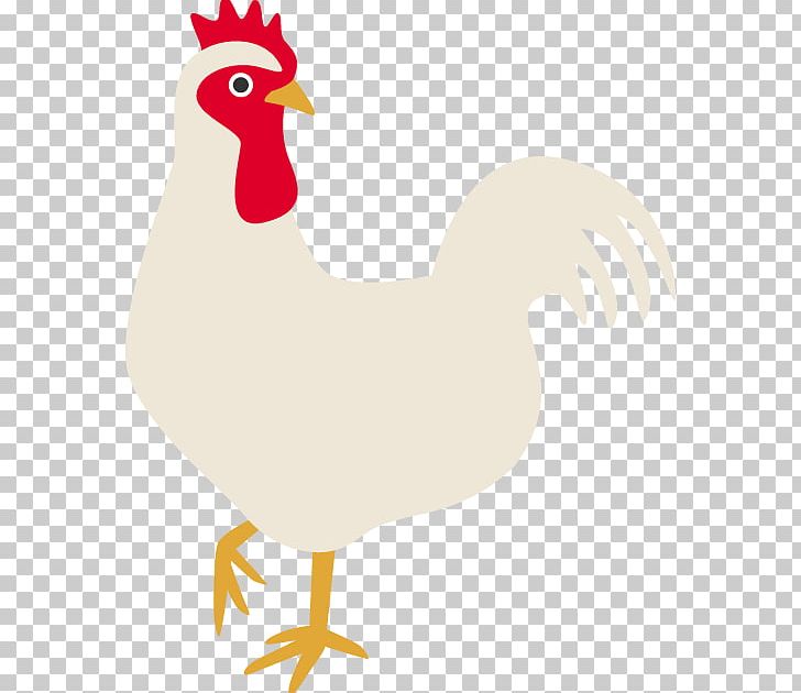 Rooster Beak Chicken As Food PNG, Clipart, Beak, Bird, Chicken, Chicken As Food, Fowl Free PNG Download