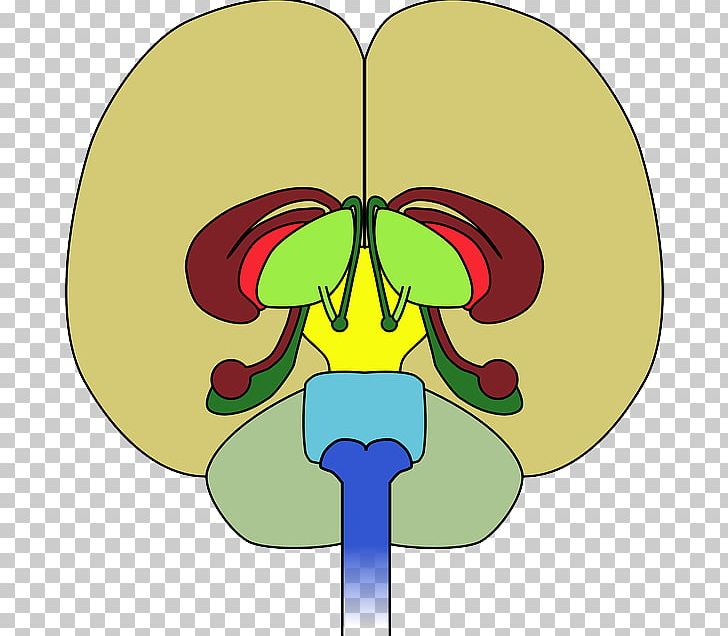 Brain Neurological Disorder Neurology Cortisol Health PNG, Clipart, Art, Baroreceptor, Brain, Cerebellum, Concussion Free PNG Download