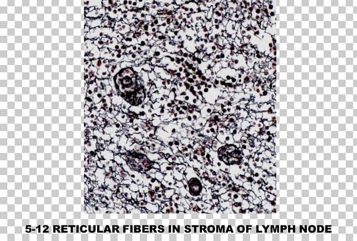 Connective Tissue Nerve Fiber Pattern PNG, Clipart, Collagen, Connective Tissue, Material, Node, Organism Free PNG Download
