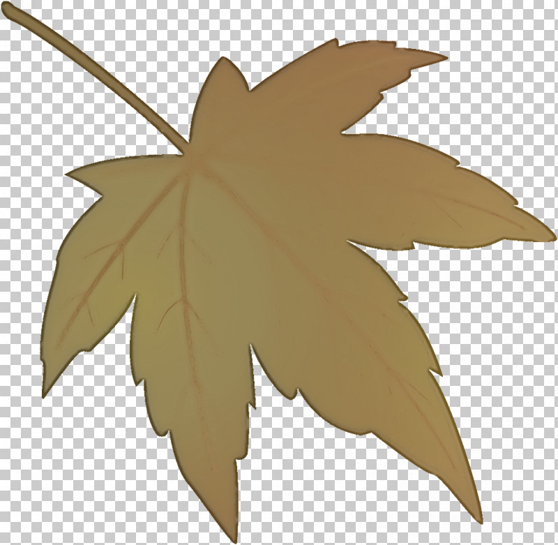 Maple Leaf Fallen Leaf Dead Leaf PNG, Clipart, Autumn Leaf, Black Maple, Dead Leaf, Fallen Leaf, Flower Free PNG Download