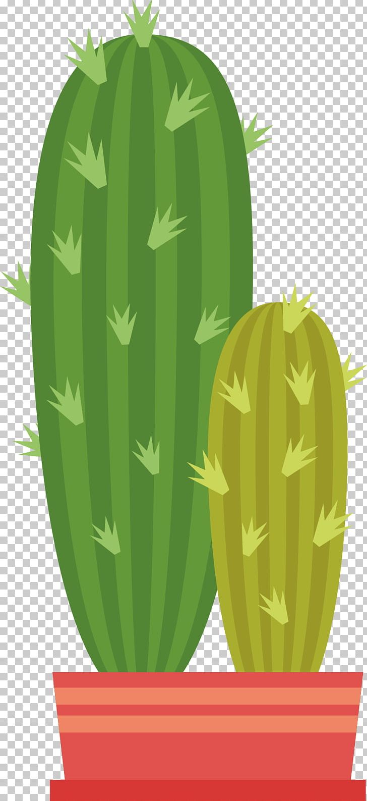 Cactaceae Euclidean Green PNG, Clipart, Barbed, Botany, Cactus Cartoon, Cactus Flower, Cactus Vector Free PNG Download