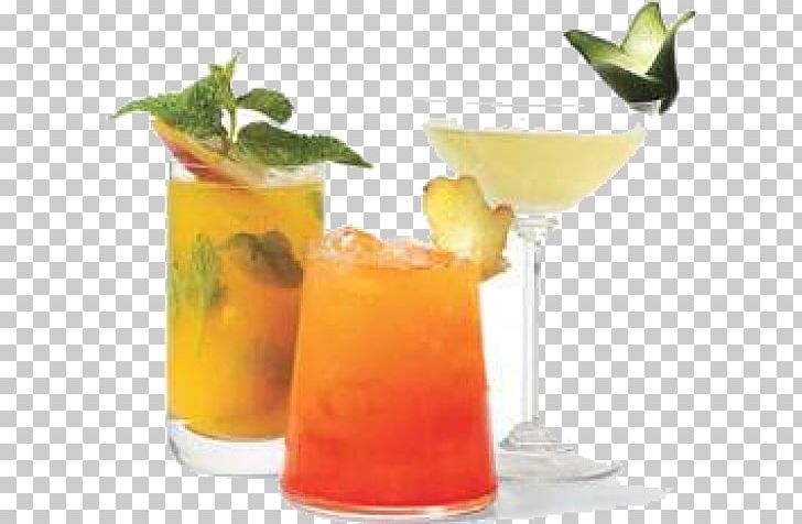 Cocktail Brandy Mexican Christmas Punch Rum PNG, Clipart,  Free PNG Download