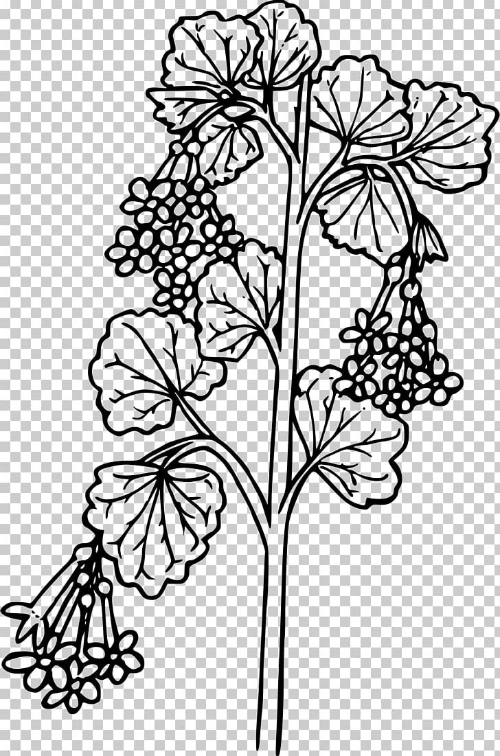 Currant Coloring Book Ribes Cereum PNG, Clipart, Area, Art, Black And White, Branch, Color Free PNG Download