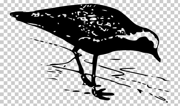 Drawing PNG, Clipart, Art, Beak, Bird, Black And White, Branch Free PNG Download
