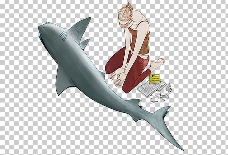 Requiem Shark Illustration PNG, Clipart, Animals, Beautiful, Beauty, Beauty Salon, Carcharhiniformes Free PNG Download