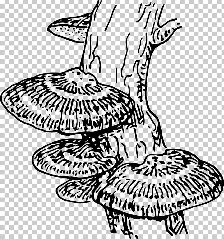 Fungus Mold Coloring Book PNG, Clipart, Artwork, Biology, Black And White, Coloring Book, Decomposer Free PNG Download