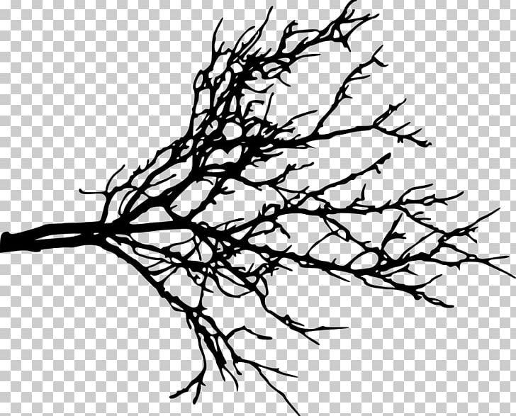 Branch PNG, Clipart, Artwork, Black And White, Branch, Drawing, Flora Free PNG Download