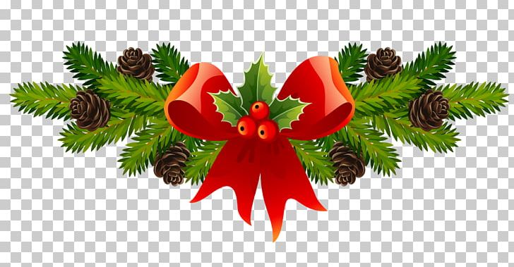 Christmas Ornament PNG, Clipart, Christmas, Christmas Decoration, Christmas Ornament, Christmas Tree, Conifer Free PNG Download