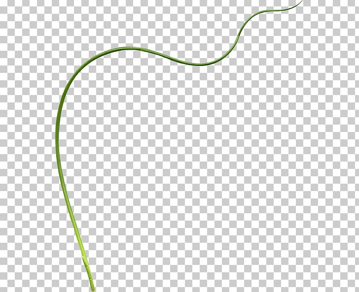 Material Green Pattern PNG, Clipart, Abstract Lines, Angle, Art, Circle, Curved Lines Free PNG Download