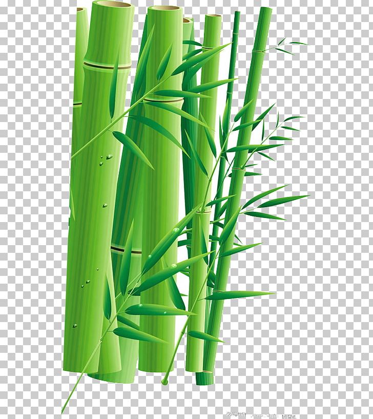Zongzi Dragon Boat Festival Bamboo U7aefu5348 PNG, Clipart, Advertising, Bamboo Frame, Bamboo Leaf, Bamboo Leaves, Bamboo Tree Free PNG Download