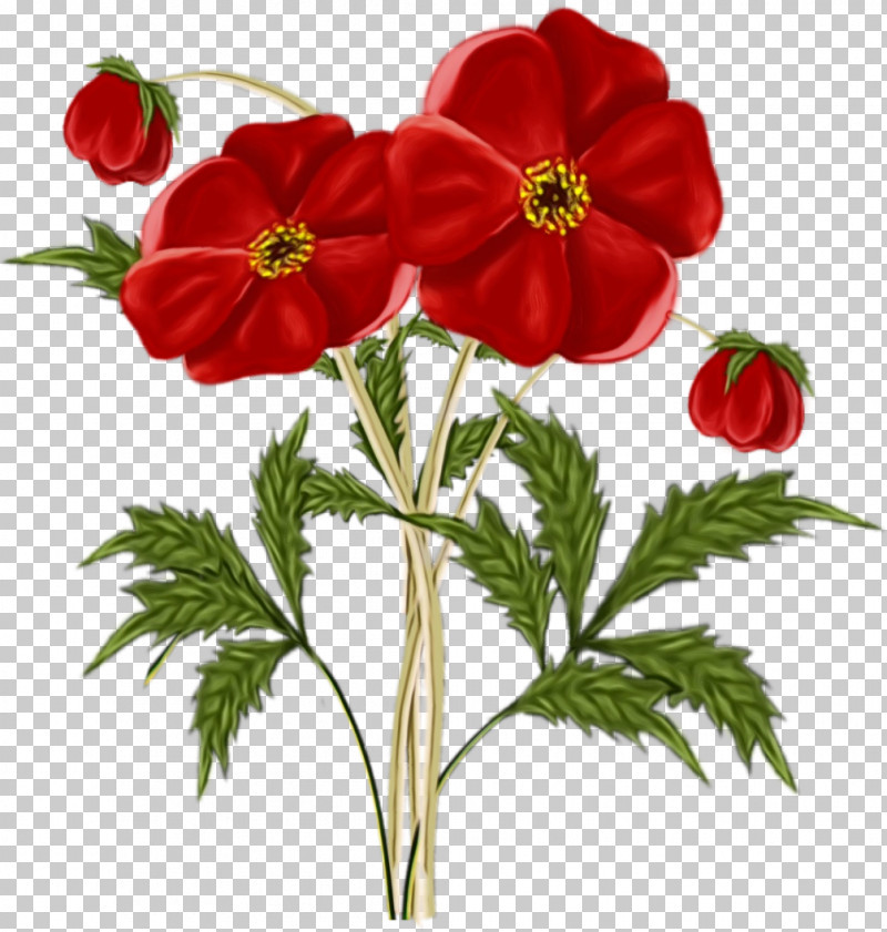 Flower Plant Red Petal Anemone PNG, Clipart, Anemone, Cinquefoil, Flower, Paint, Petal Free PNG Download