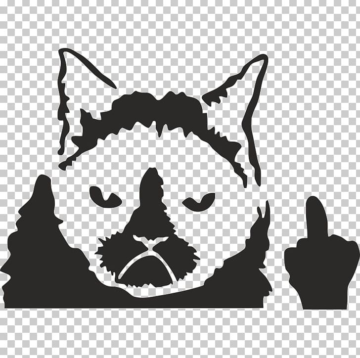 Car Bumper Sticker Decal Grumpy Cat PNG, Clipart, Black, Car, Carnivoran, Cat Like Mammal, Dog Like Mammal Free PNG Download