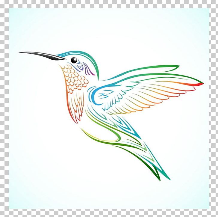 Hummingbird Tattoo Drawing PNG, Clipart, Animals, Beak, Bird, Bosque, Colorful Free PNG Download
