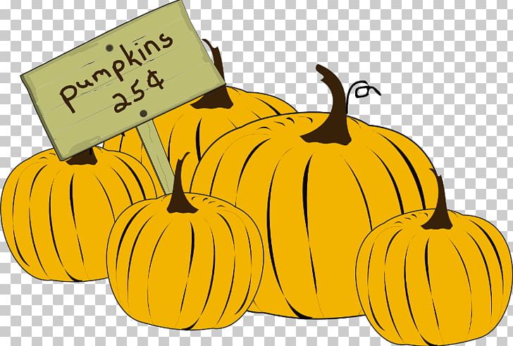 Jack-o'-lantern Pumpkin Time Winter Squash Gourd PNG, Clipart,  Free PNG Download