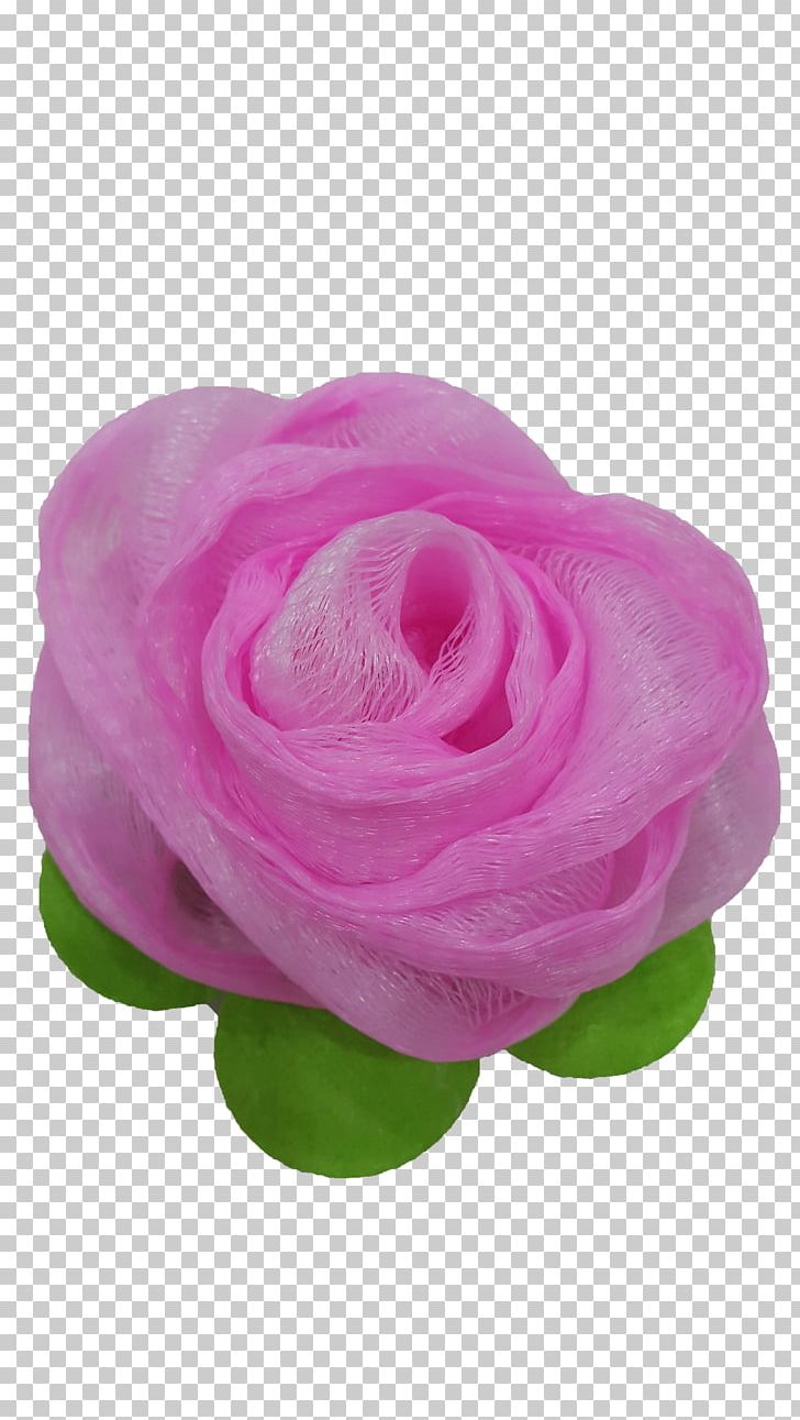 Garden Roses Cabbage Rose Cut Flowers Petal PNG, Clipart, Bong, Cut Flowers, Flower, Flowering Plant, Garden Free PNG Download