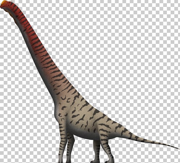 Giraffatitan Brachiosaurus Velociraptor Giraffe Cedarosaurus PNG, Clipart, Animals, Brachiosauridae, Brachiosaurus, Camarasaurus, Cedarosaurus Free PNG Download