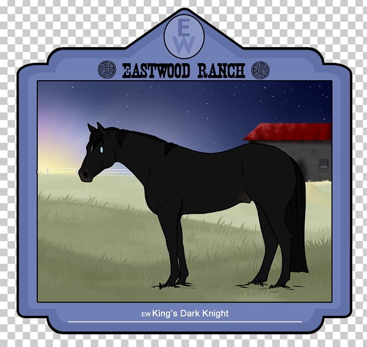 Mustang Stallion Foal Colt Mare PNG, Clipart, Bridle, Cartoon, Colt, Foal, Grass Free PNG Download