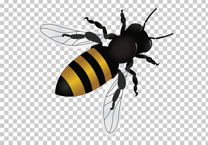 Honey Bee Tempe Fountain Hills Insect PNG, Clipart, Abc Home Commercial Services, Arthropod, Bee, Bee Removal, Exterminator Free PNG Download