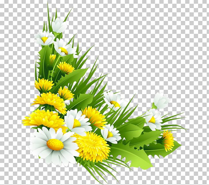 Plant Flower Chrysanthemum Tea Chrysanthemum Indicum PNG, Clipart, Aster, Cdr, Chamaemelum Nobile, Chamomile, Chrysanthemum Free PNG Download