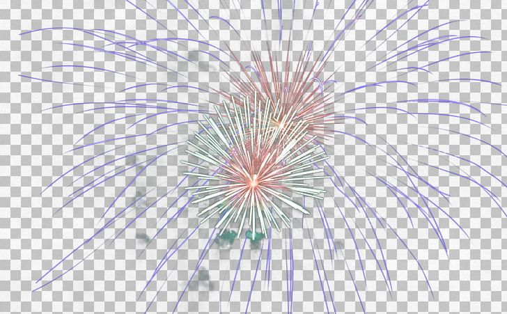 Fireworks PNG, Clipart, Fireworks Free PNG Download