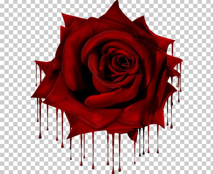 Garden Roses Gothic Art Gothic Architecture Goths PNG, Clipart, Architecture, Art, Cut Flowers, Floral Design, Floristry Free PNG Download