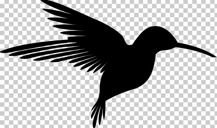 Hummingbird Silhouette PNG, Clipart, Animals, Beak, Bird, Black And White, Digital Image Free PNG Download