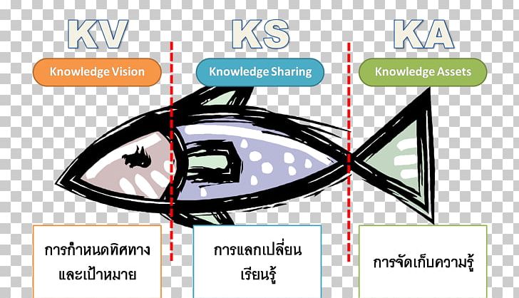 Knowledge Management Fish Menu Short Mackerel PNG, Clipart, Angle, Area, Automotive Design, Automotive Lighting, Brand Free PNG Download