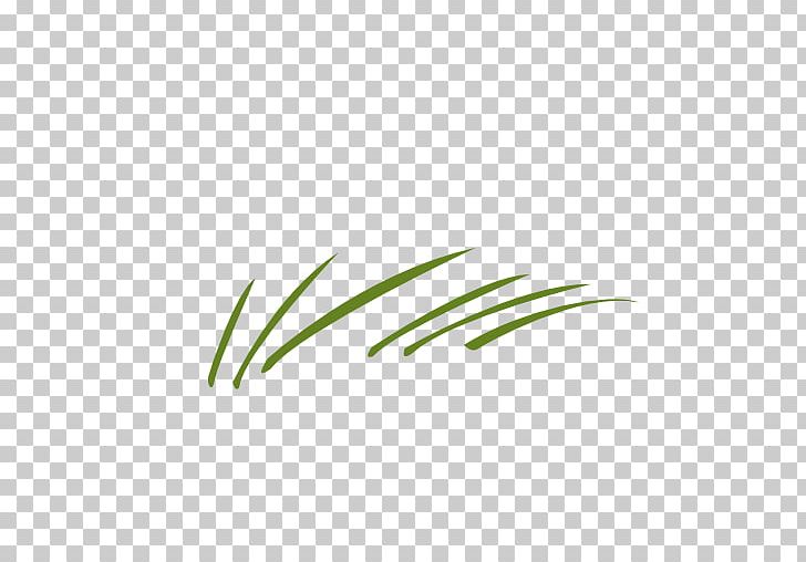 Leaf Logo Grasses Plant Stem Font PNG, Clipart, Ago, Angle, Deviantart, Family, Grass Free PNG Download