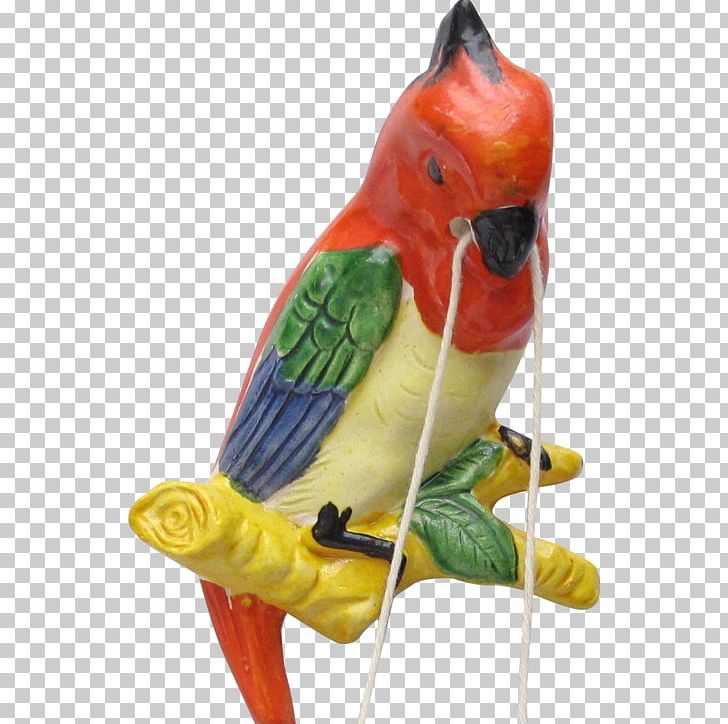 Lovebird Macaw Parakeet Beak PNG, Clipart, Animals, Basket, Beak, Bird, Bird Supply Free PNG Download