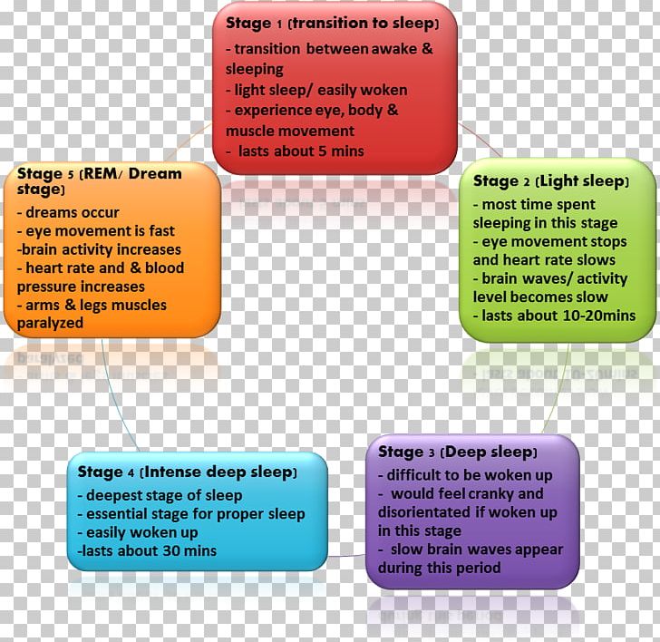 Sleep Cycle Non-rapid Eye Movement Sleep Sleep Disorder PNG, Clipart, Apnea, Bedtime, Brand, Conus Medullaris, Diagram Free PNG Download