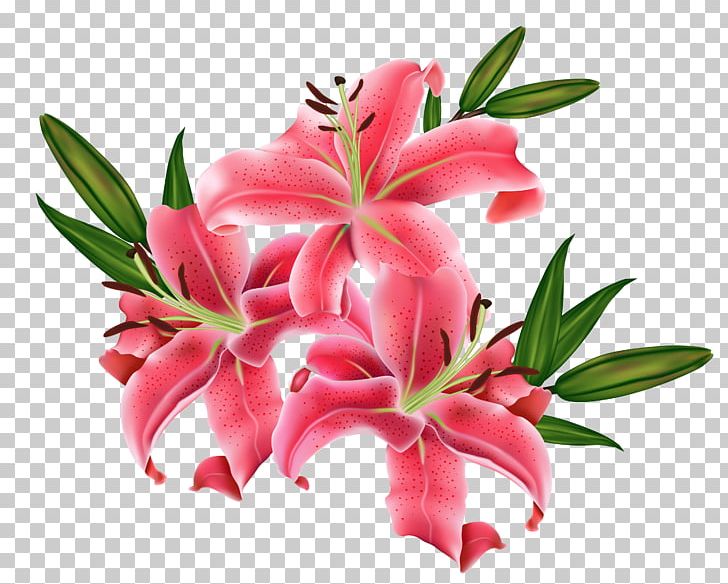 Tiger Lily Lilium Bulbiferum Flower PNG, Clipart, Clip Art, Computer Icons, Cut Flowers, Encapsulated Postscript, Floral Design Free PNG Download