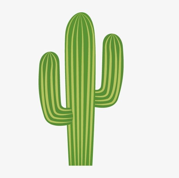 Cactus PNG, Clipart, Cactus, Cactus Clipart, Cartoon, Plant Free PNG Download