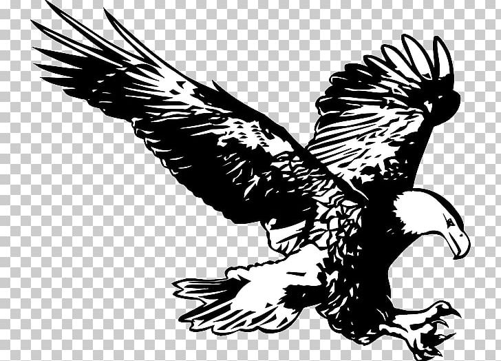 Easthampton Bald Eagle School Education PNG, Clipart, Accipitriformes, Animals, Bald Eagle, Beak, Bird Free PNG Download
