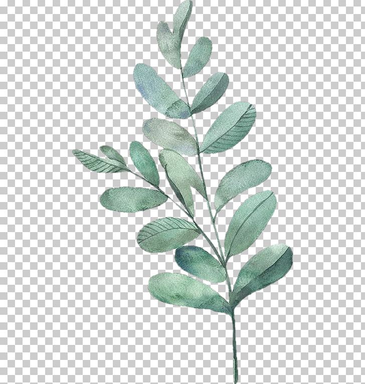 Watercolor Painting Portable Network Graphics Leaf PNG, Clipart, Art, Branch, Drawing, Fern, India Ink Free PNG Download