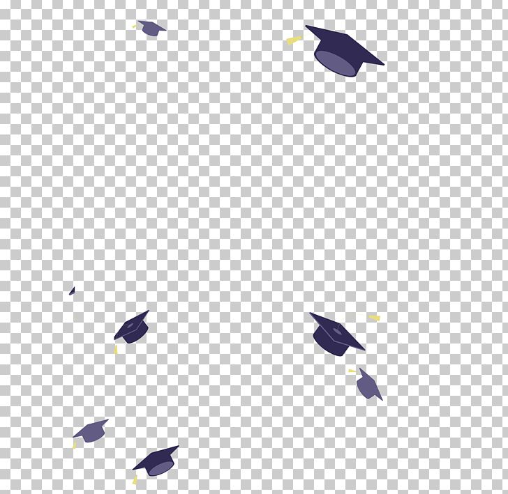 Bachelors Degree Graduation Ceremony Party University Academic Degree PNG, Clipart, Academic Certificate, Angle, Bachelor, Bachelor Cap, Baseball Cap Free PNG Download