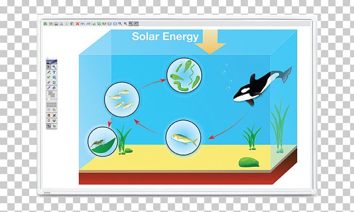 Food Chain Food Web Photosynthesis Ocean Biology PNG, Clipart, Animal, Area, Biology, Biome, Desert Ecology Free PNG Download