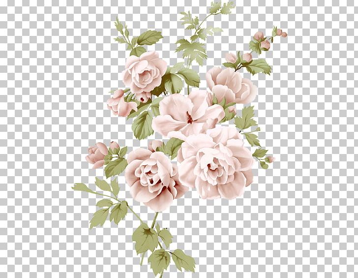 Garden Roses Cabbage Rose Cut Flowers Floral Design Flower Bouquet PNG, Clipart, Artificial Flower, Blossom, Branch, Cut Flowers, Flor Free PNG Download