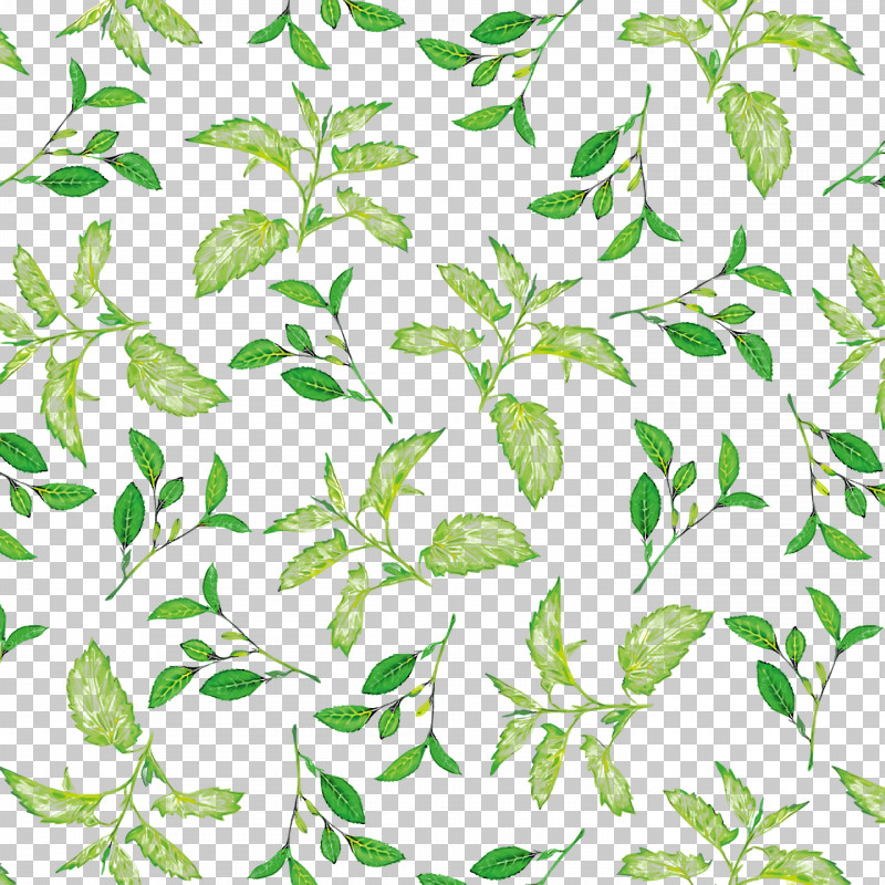 Plant Stem Leaf Flower Green Pattern PNG, Clipart, Biology, Flower, Green, Leaf, Line Free PNG Download