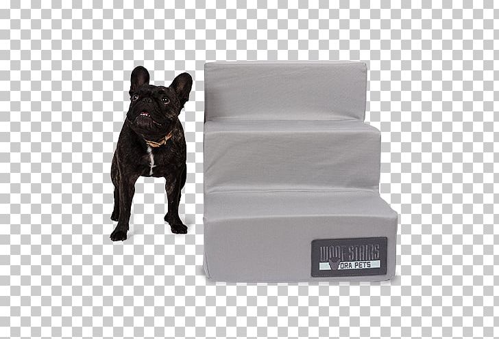 French Bulldog Dog Breed Companion Dog Dog Collar PNG, Clipart, Animal, Animals, Bed, Breed, Bulldog Free PNG Download