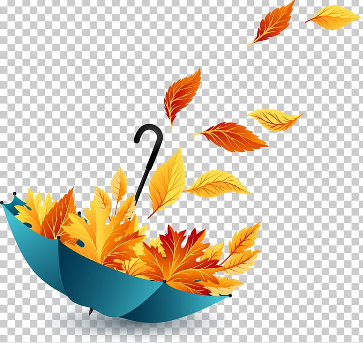 Template PNG, Clipart, Autumn, Autumn Leaves, Decorative Patterns, Encapsulated Postscript, Fall Leaves Free PNG Download