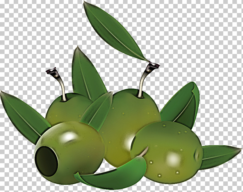 Leaf Fruit Green Plant Olive PNG, Clipart, Flower, Food, Fruit, Green, Leaf Free PNG Download
