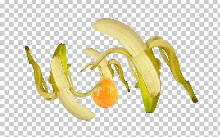 Banana Food Gratis PNG, Clipart, App, Banana, Banana Family, Bell Peppers And Chili Peppers, Diet Food Free PNG Download