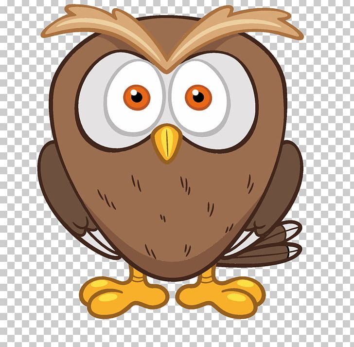 Education Photography PNG, Clipart, Beak, Bird, Bird Of Prey, Cute Owl, Drawing Free PNG Download
